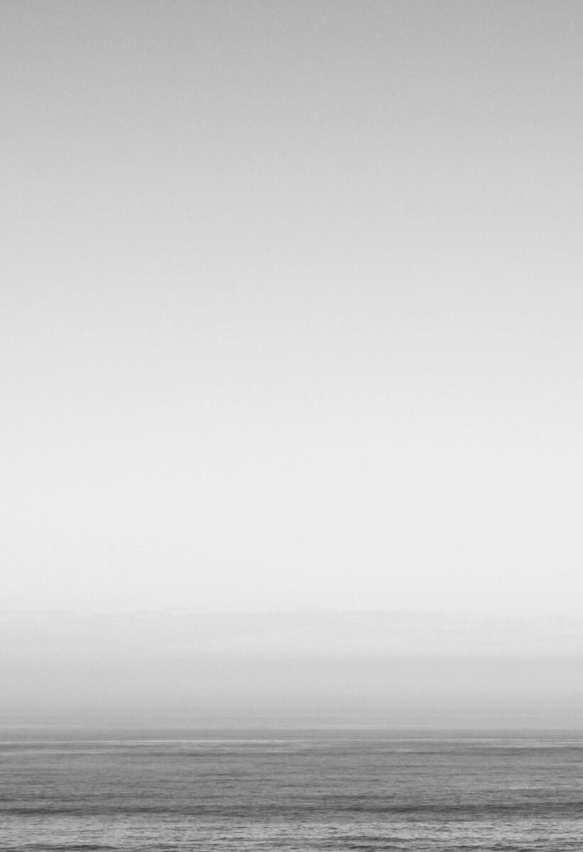 Fractional Leadership