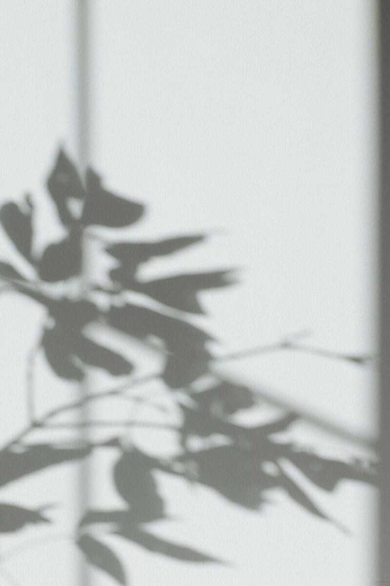 Advisory Assessments